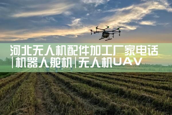 ˮ˻Ҽ۸ѯ|˻UAV