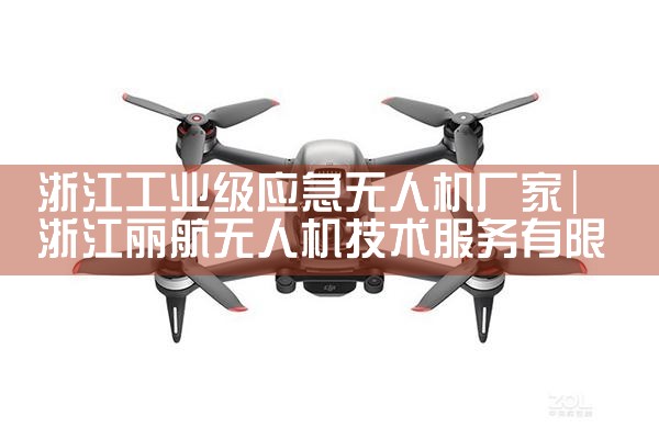 ˻⳧|˻UAV