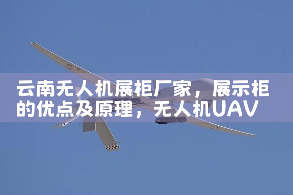 ˻չ񳧼|˻UAV