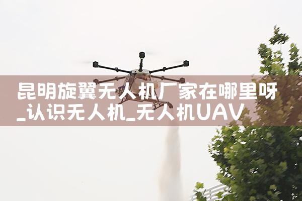 ˻ѽ|˻UAV