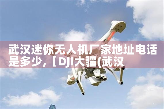 人˻ҵַ绰Ƕ|˻UAV